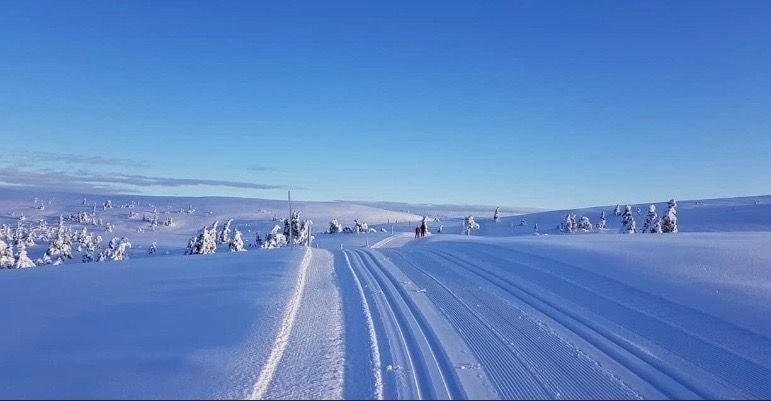 Supre skiforhold på Blefjell Galleribilde