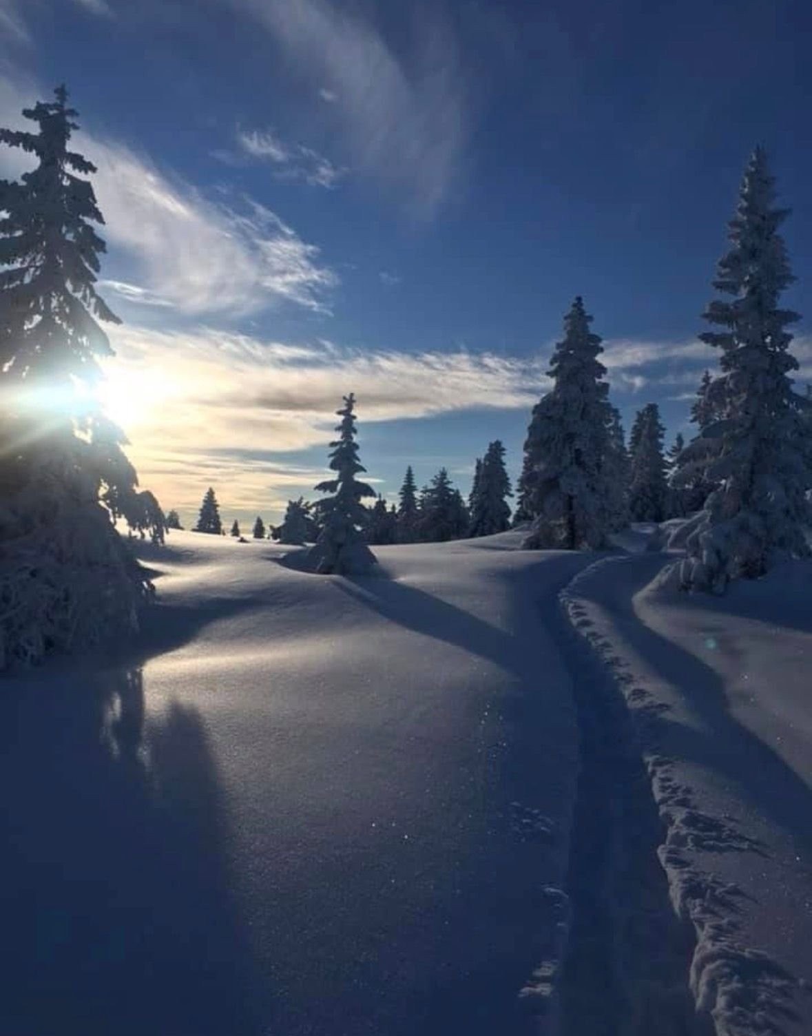 Trugetur til Kløvnattoppen rett bak hytta Galleribilde