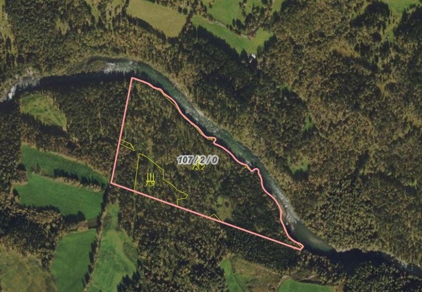 Skogteig på 82,5 dekar som grenser til elva Driva Galleribilde