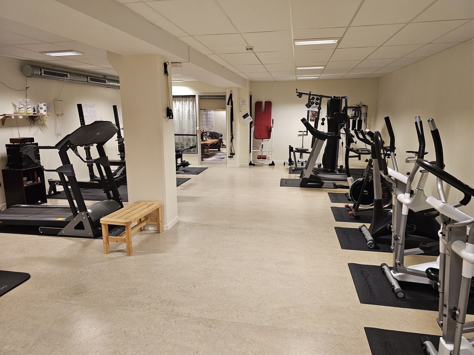 Felles trimrom. Galleribilde