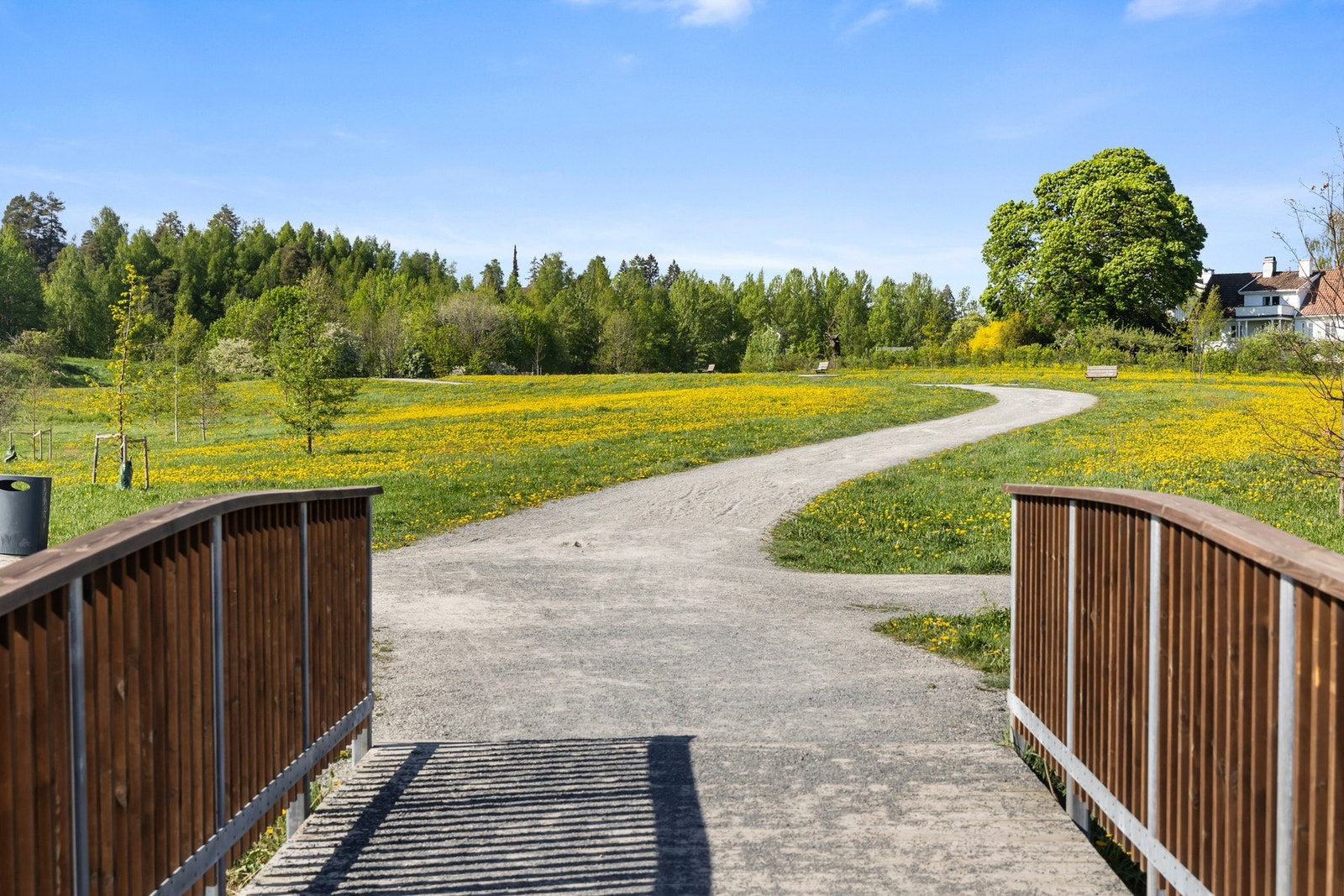 Grøntarealet på andre siden av veien ble etablert som en del av utbyggingen i Gjønneshagen. Galleribilde