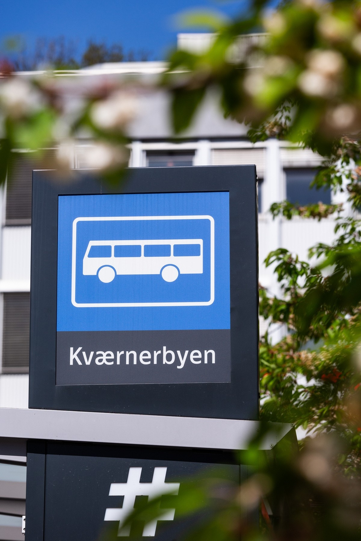 Bussholdeplass Galleribilde