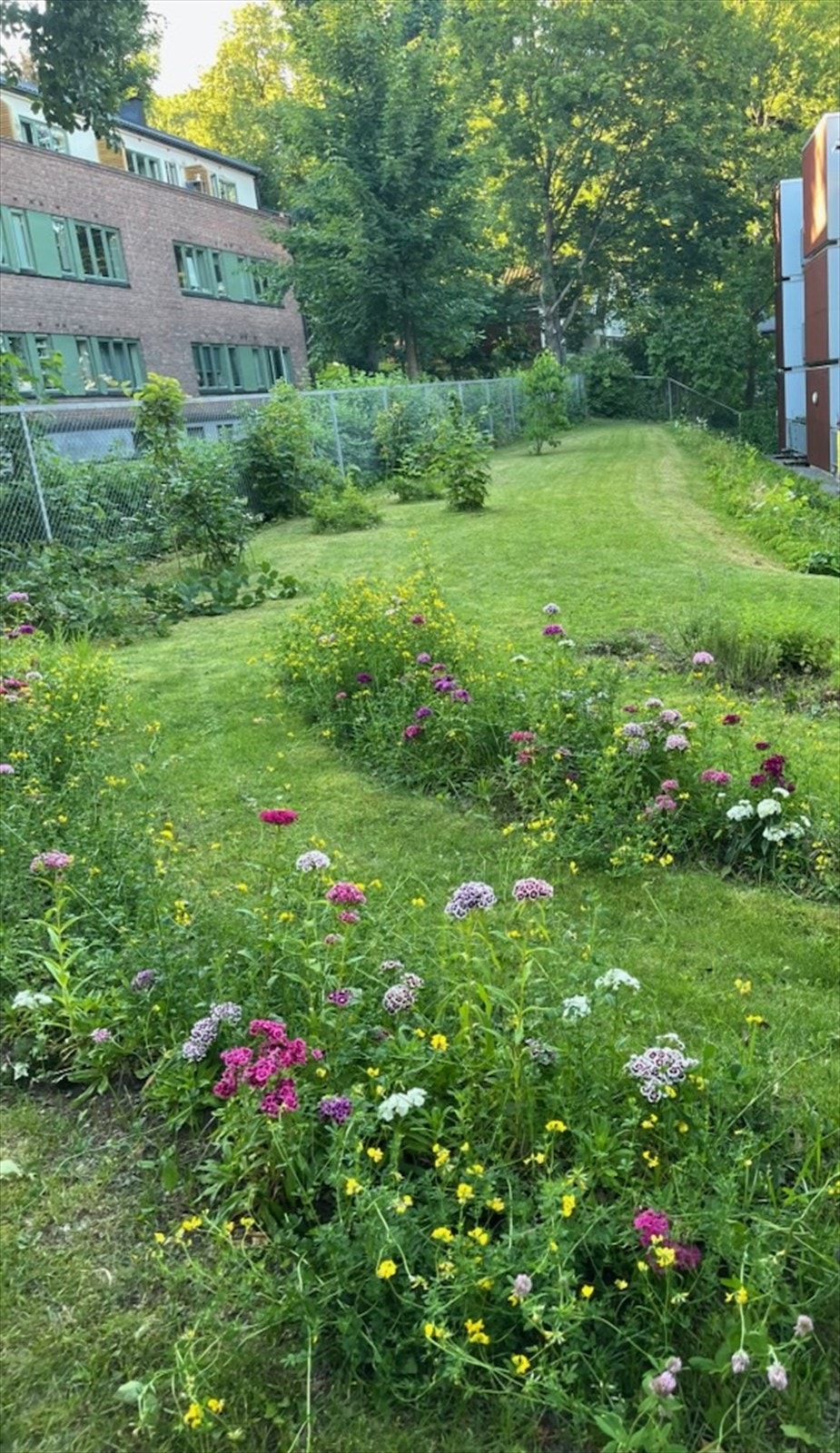 Bilde tatt av selger Galleribilde