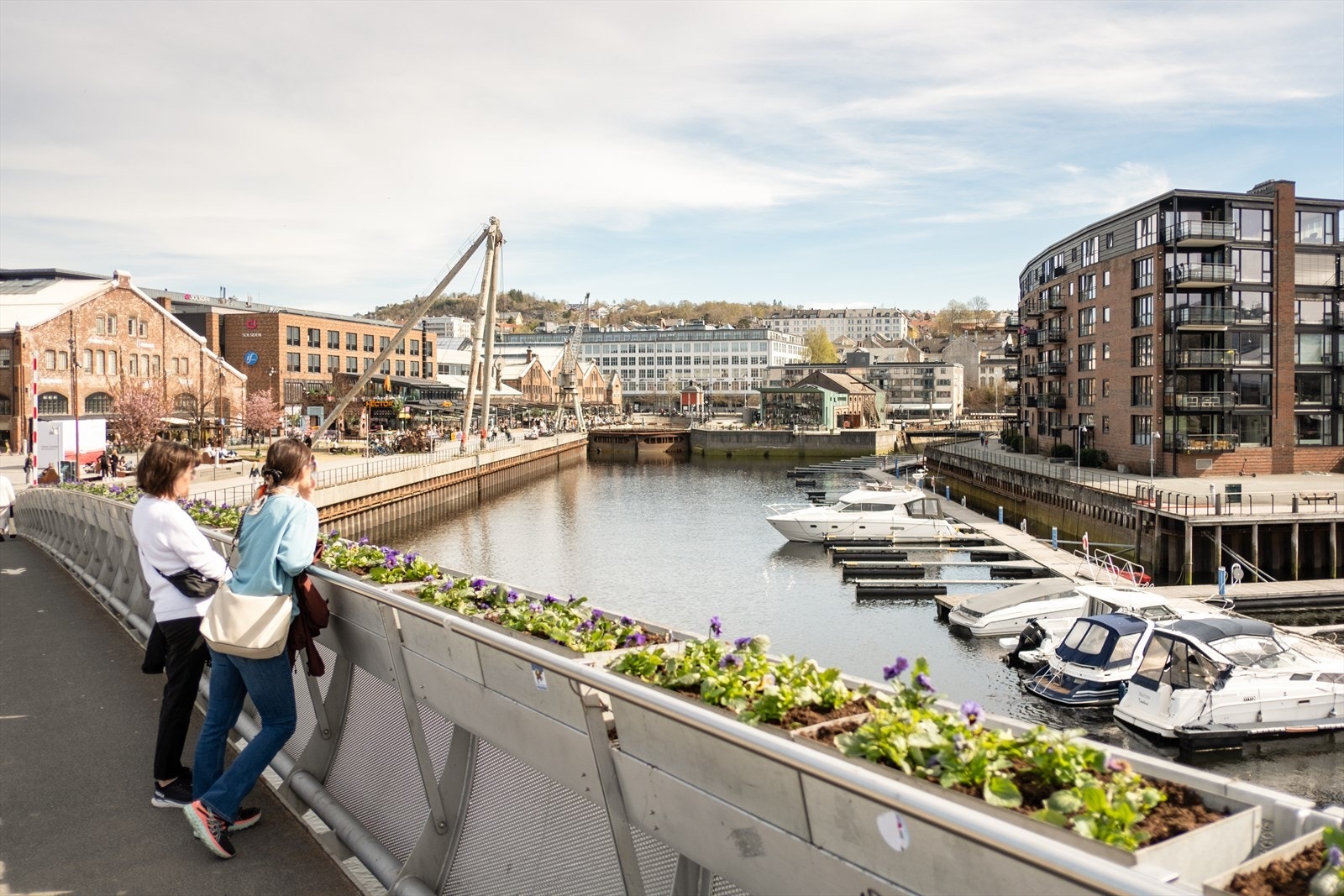 Solsiden er kjent for sitt yrende folkeliv, en rekke restauranter, serveringssteder og et bredt utvalg av butikker og servicefunksjoner. Ellers er studiesteder som NTNU, BI, St. Olavs Hospital og Dronning Mauds Minne kun en liten spasertur unna. Galleribilde