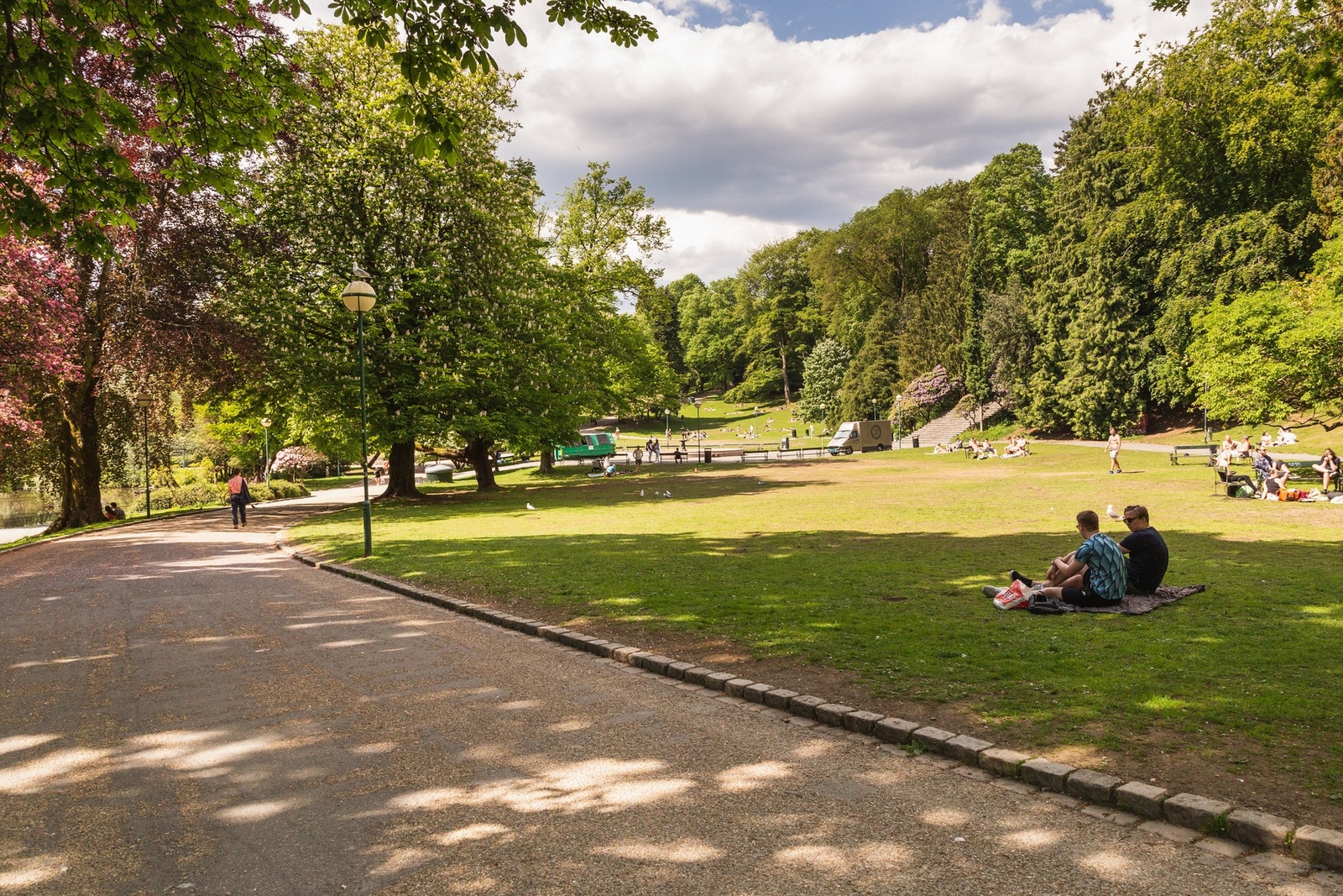 Nyt solfylte dager i Nygårdsparken. Galleribilde