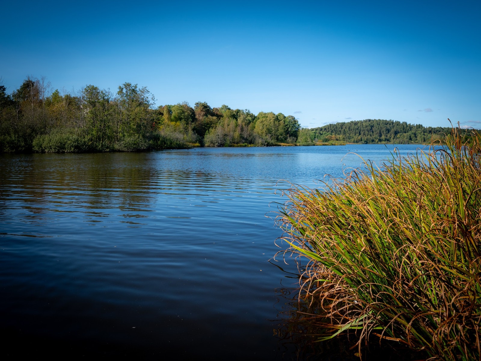 Bare få meter fra boligen ligger Østensjøvannet, og herfra kan man gå på sti helt inn i Østmarka. Nærhet til marka, samtidig som det bare er en kort T-banetur til Oslo sentrum. Galleribilde