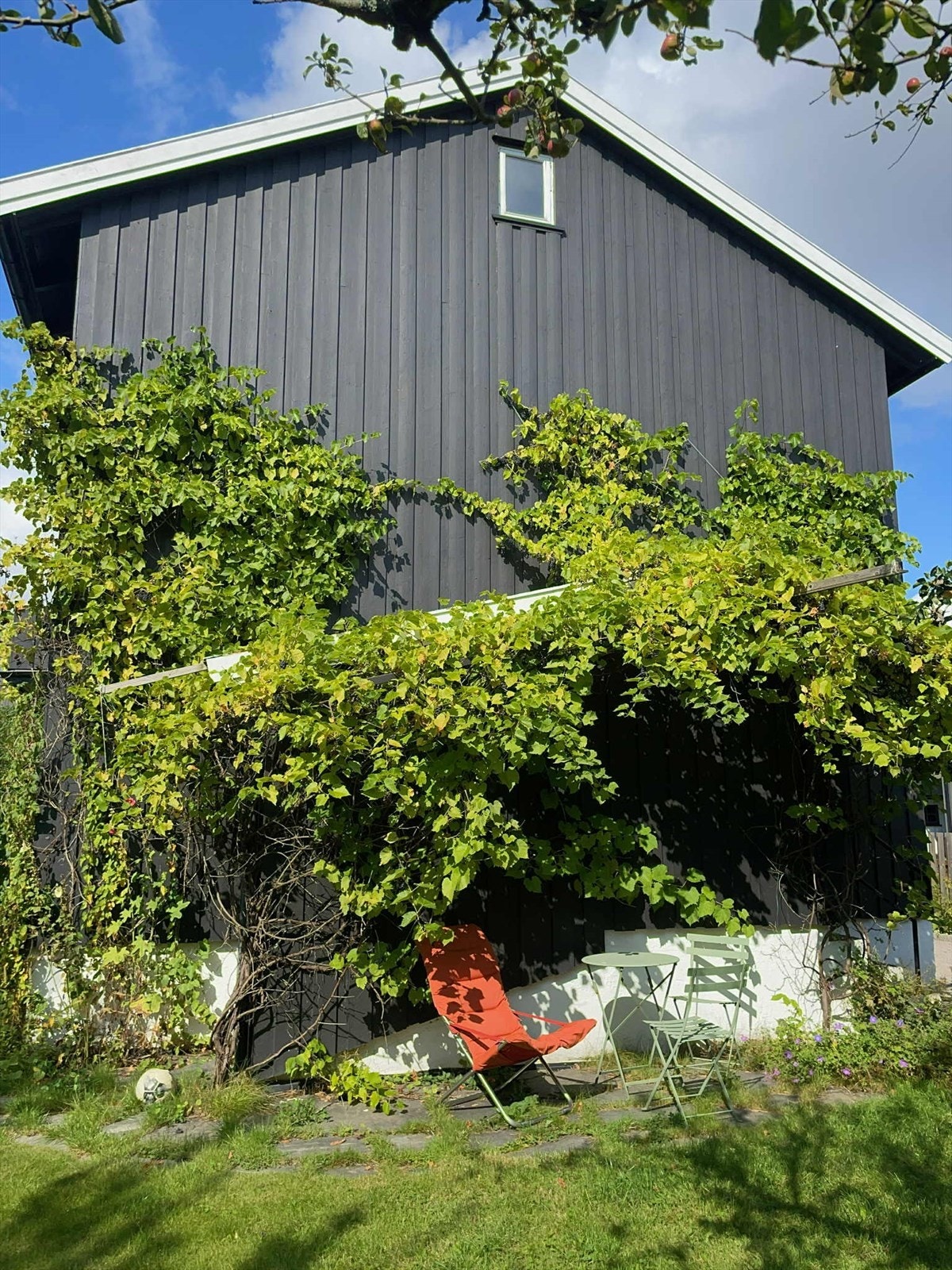 Sommerbilde tatt av selger. Galleribilde