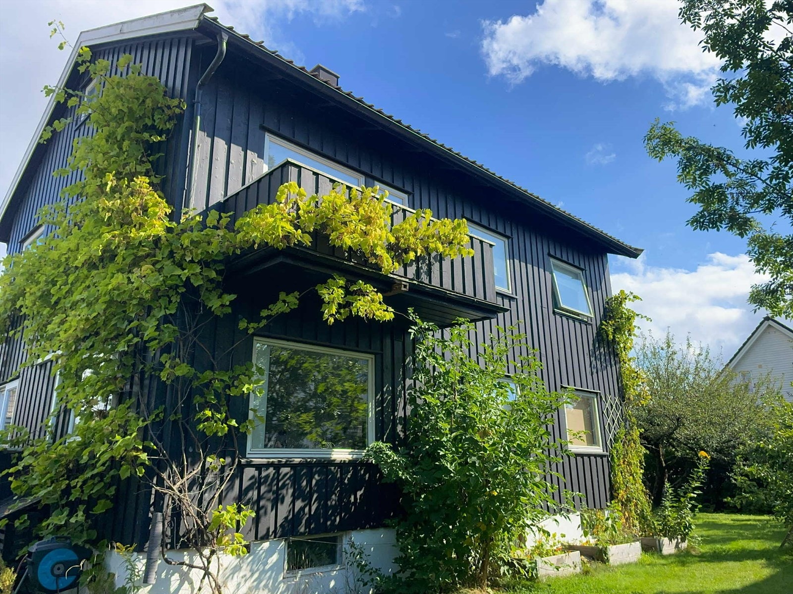 Sommerbilde tatt av selger Galleribilde