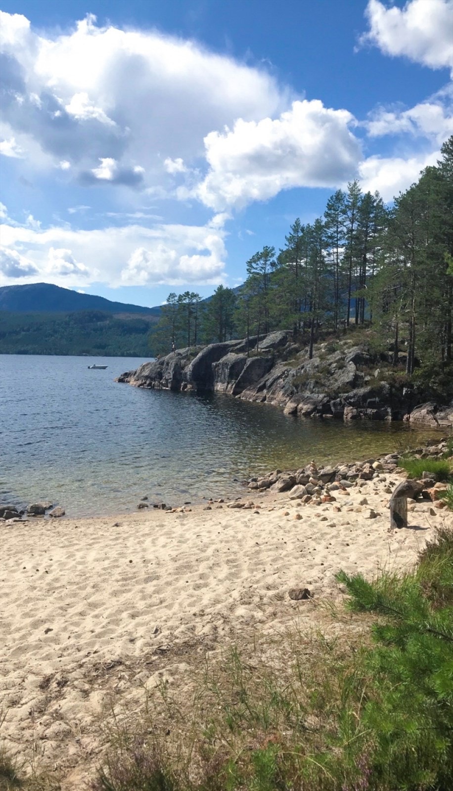 nærområdet er ideell for soling og avslapning ved vannkanten. Galleribilde