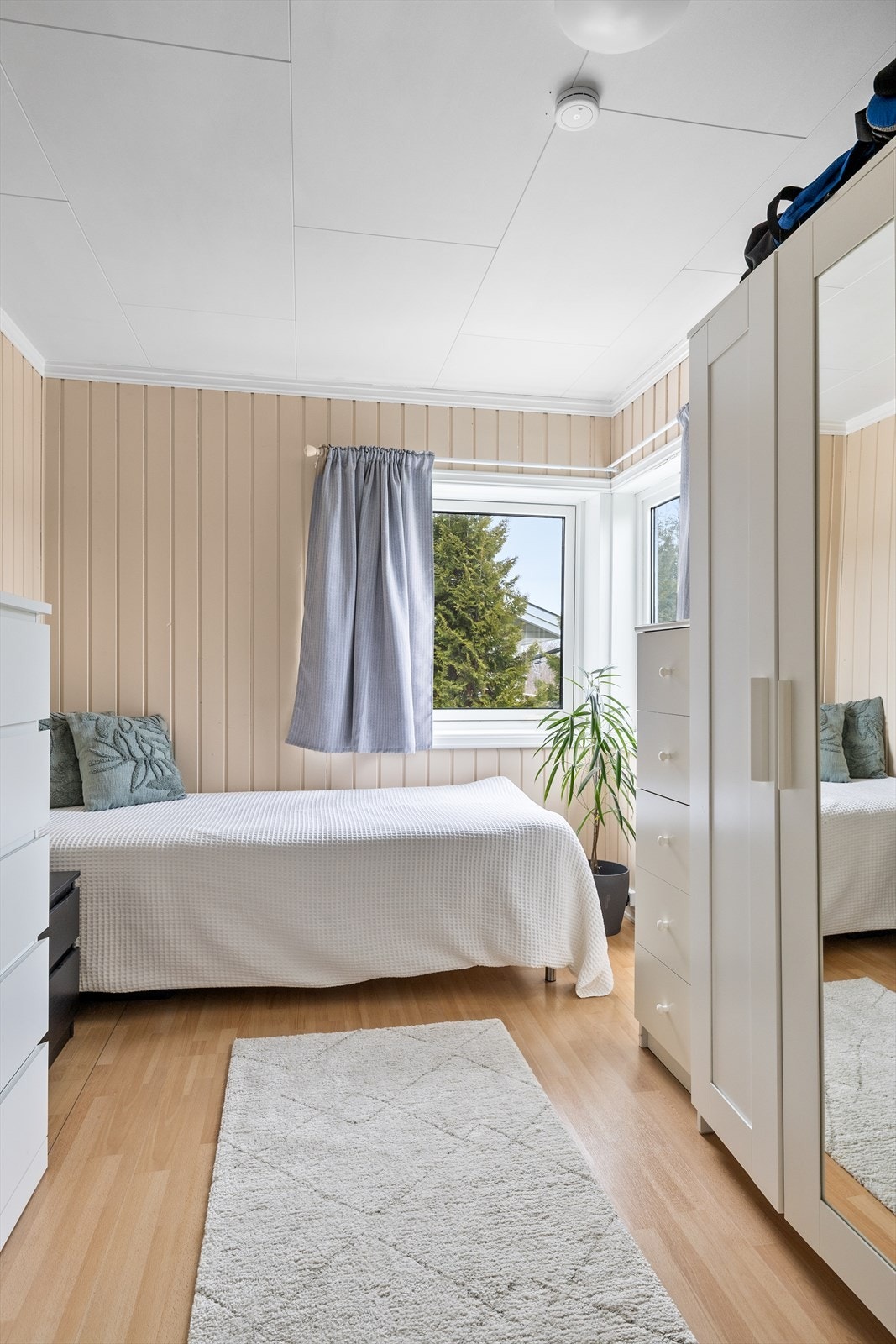 Soverommet i hybel er malt i en behagelig farge! Galleribilde