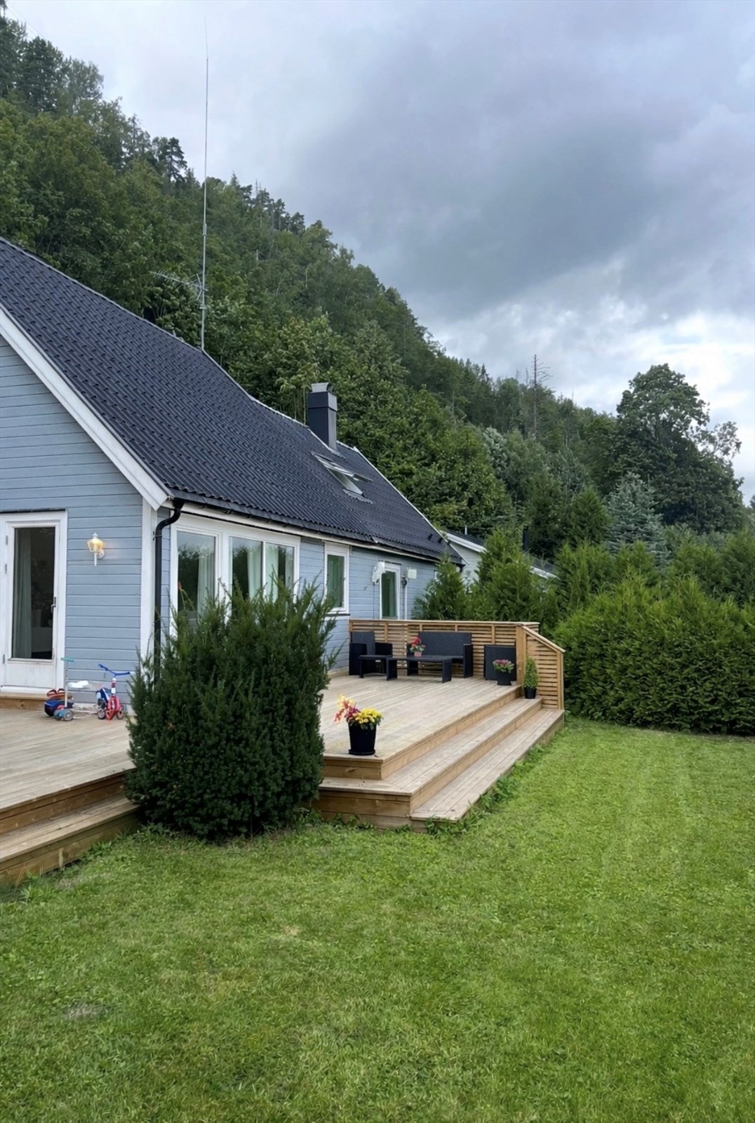 Sommerbilde fra selger. Galleribilde