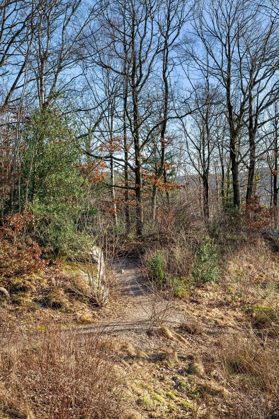 Nærområdet. Galleribilde