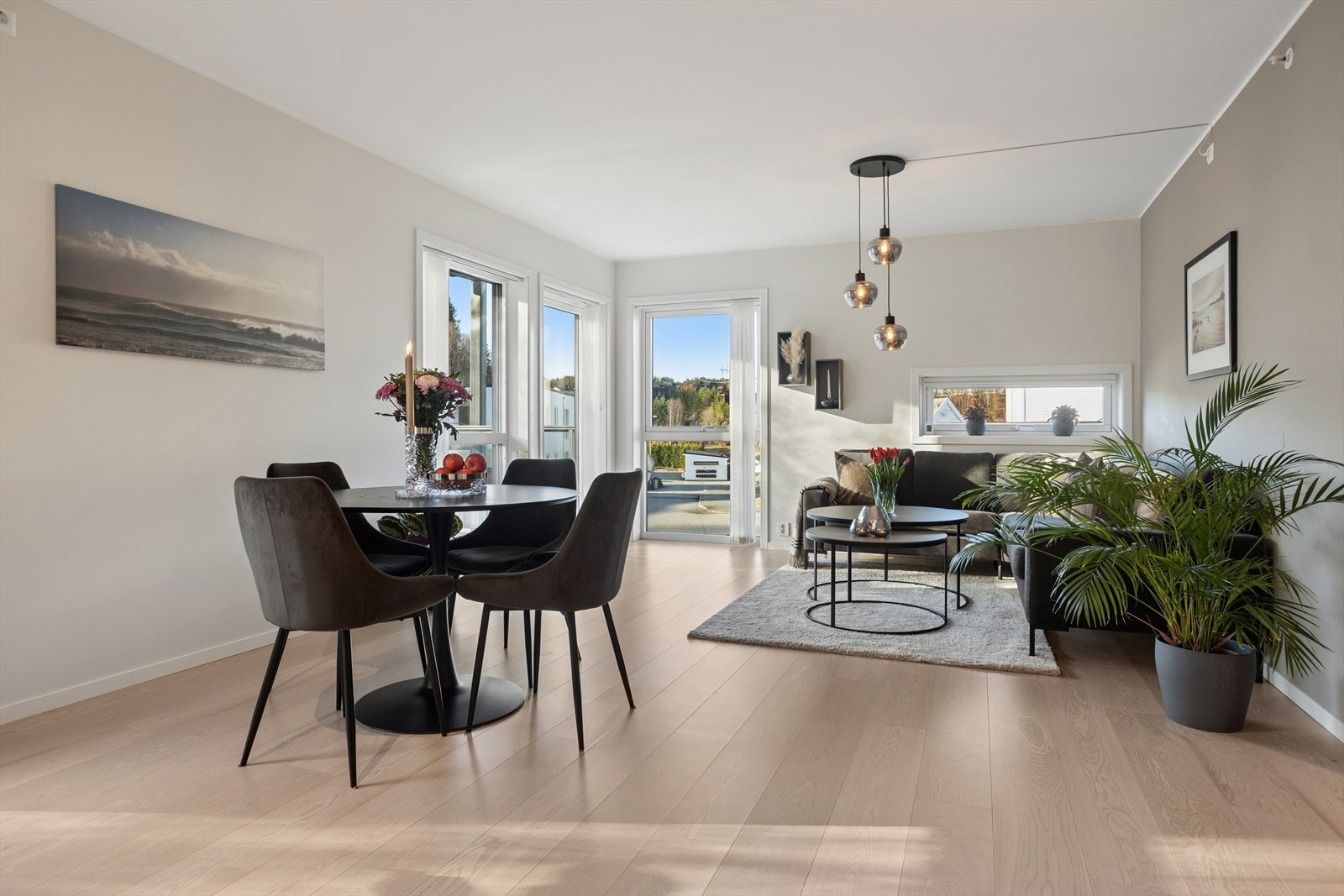 Velkommen til Skranevegen 105! Galleribilde