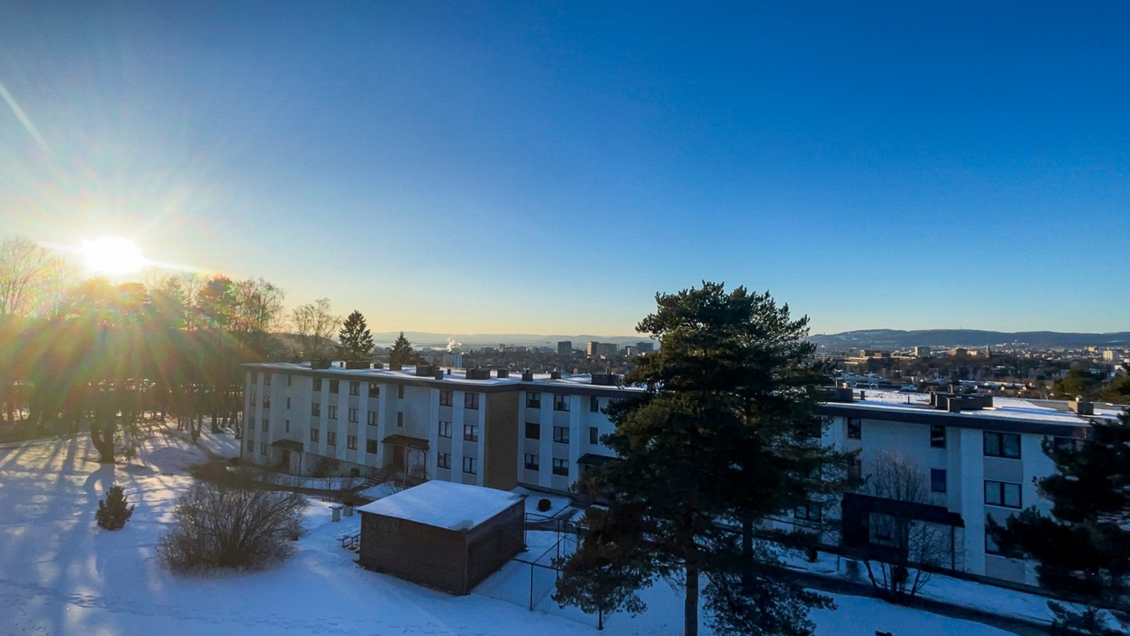 Bilde fra eier Galleribilde