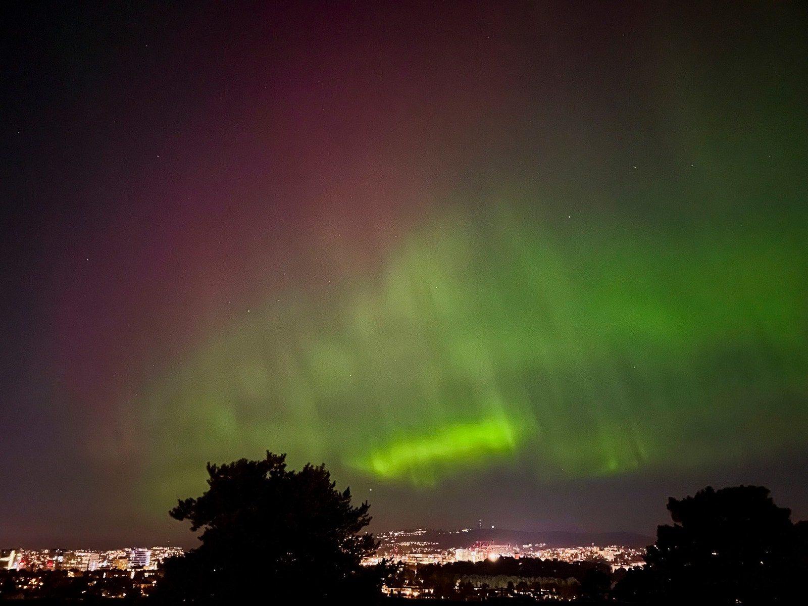 Bilde fra eier Galleribilde