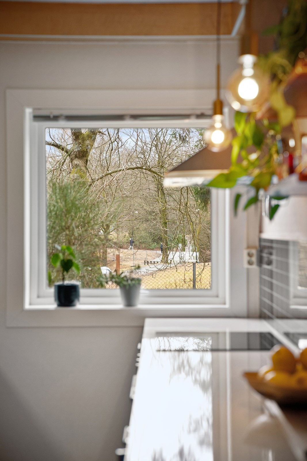 Herlig kontakt med byens grønne lunge. Unik plassering. Tilbaketrukket og sentral på beste måte. Galleribilde