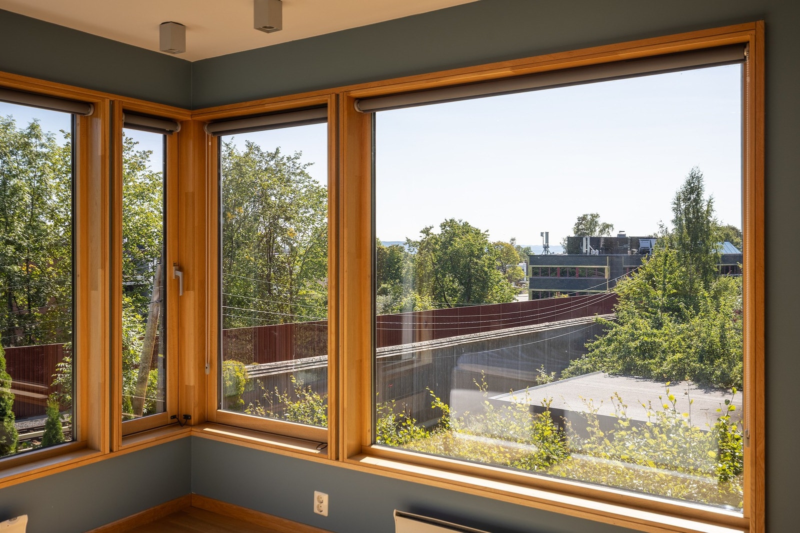 Bilde fra sommerstid Galleribilde