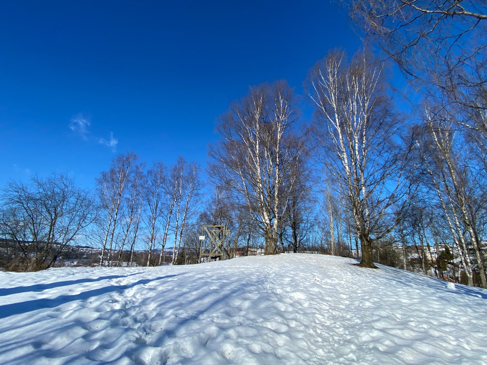 Bilde mot lekeplassen Galleribilde