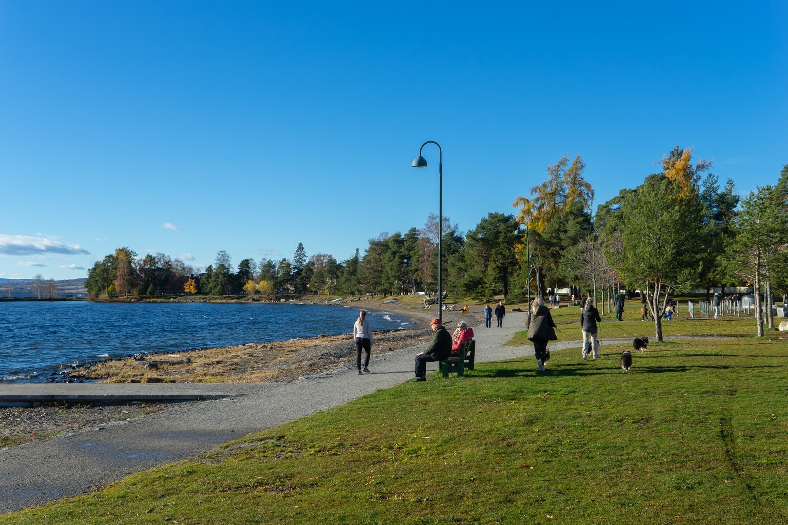 Koigen er et populært område for bading og fritidsaktiviteter Galleribilde