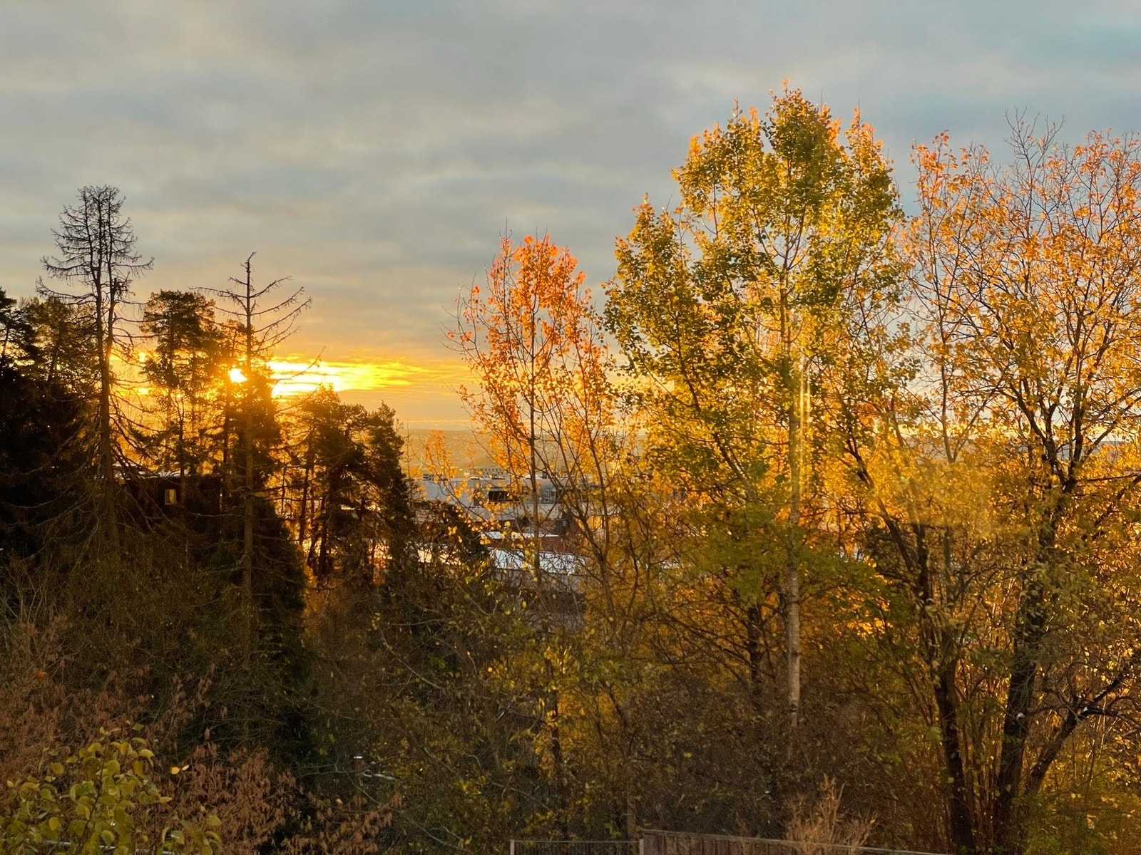 Det er utsikt til sjøen og båtene på vinterhalvåret og utsikt til flotte trær med yrende ekorn og fugleliv sommerhalvåret.
Selgers private bilde. Galleribilde