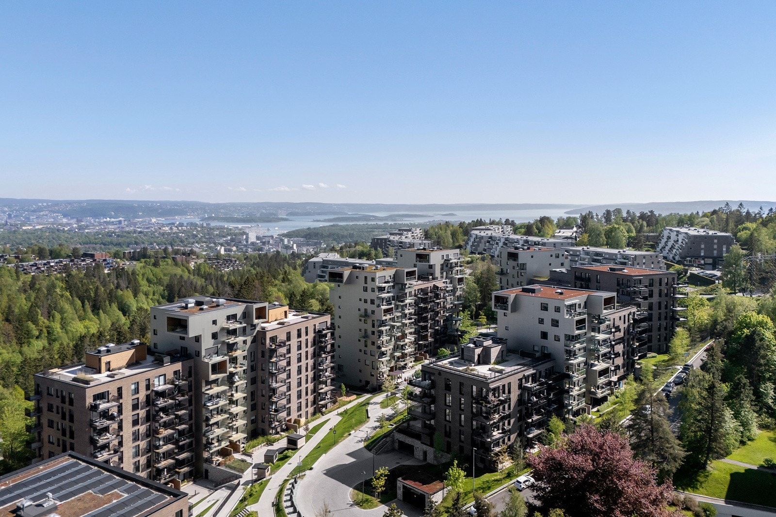 Røakollen Galleribilde