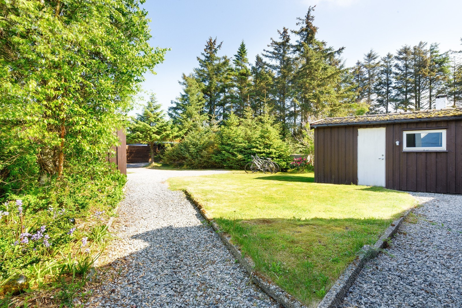 Naturlig uteområde med siglet sti, plen og beplantning. Galleribilde