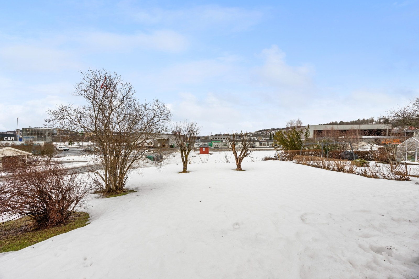 Romslig hage, pent opparbeidet med plen og beplantning. Galleribilde