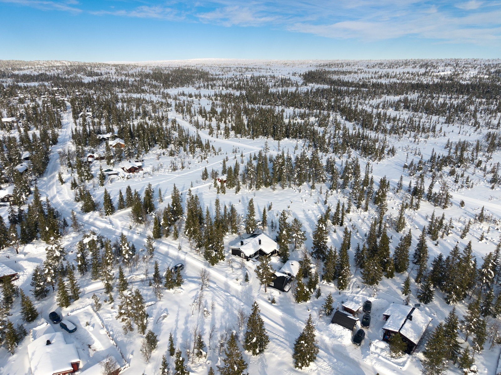 Velkommen til visning! Galleribilde