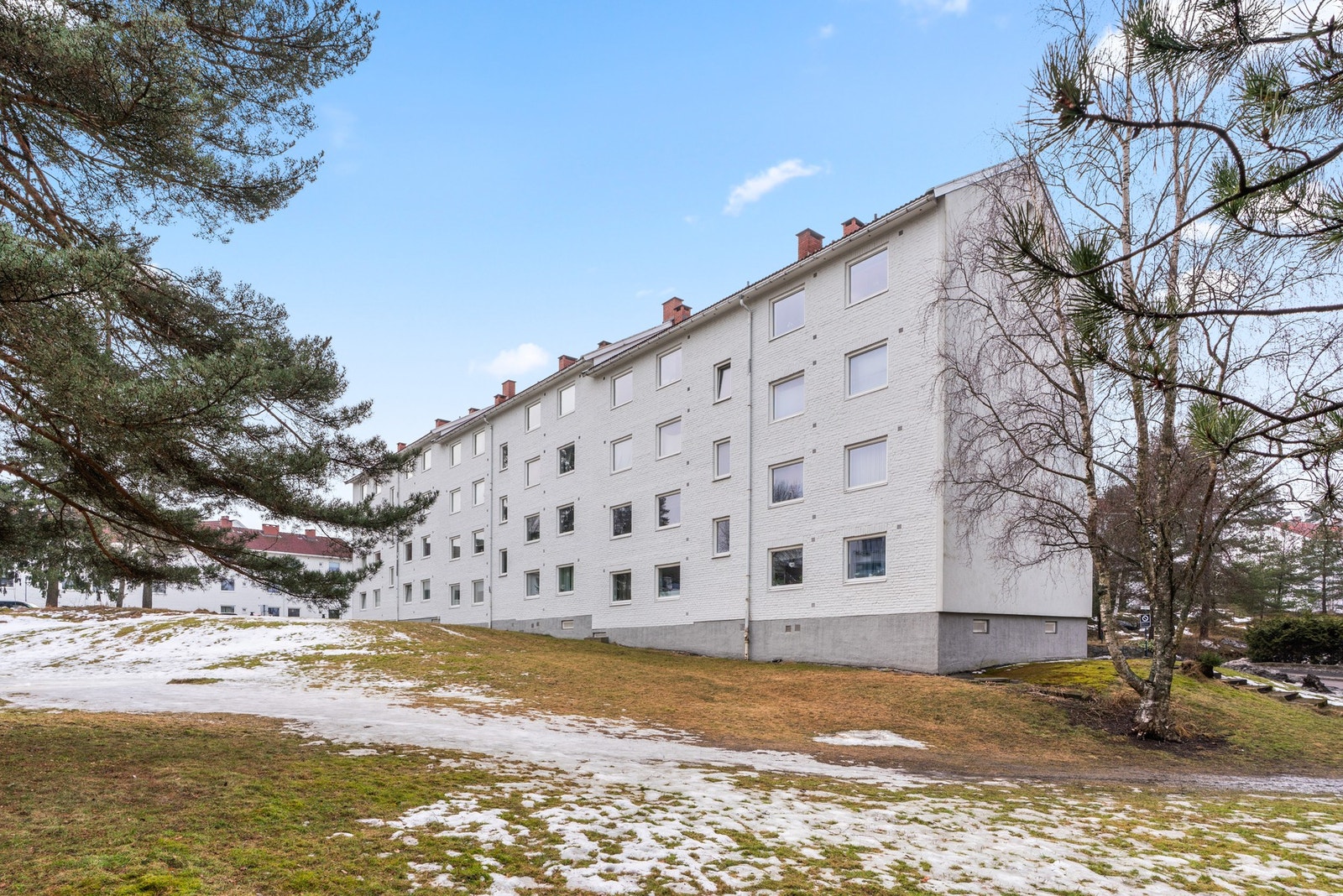 Bilder fra uteområdet. Galleribilde