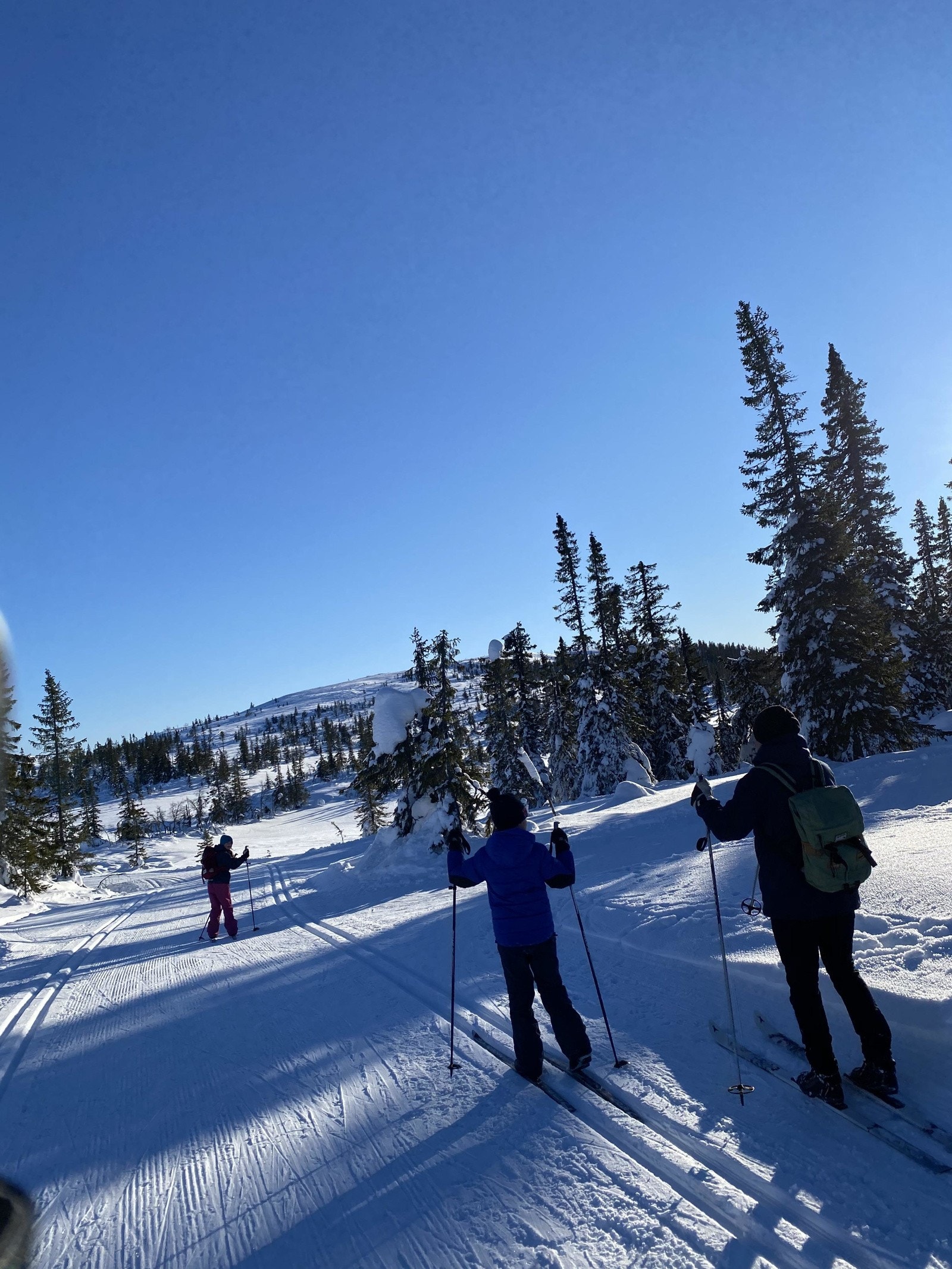Vegglifjell har et imponerende løypenett på rundt 90 km, som går gjennom småskog og åpne fjellvidder. Galleribilde