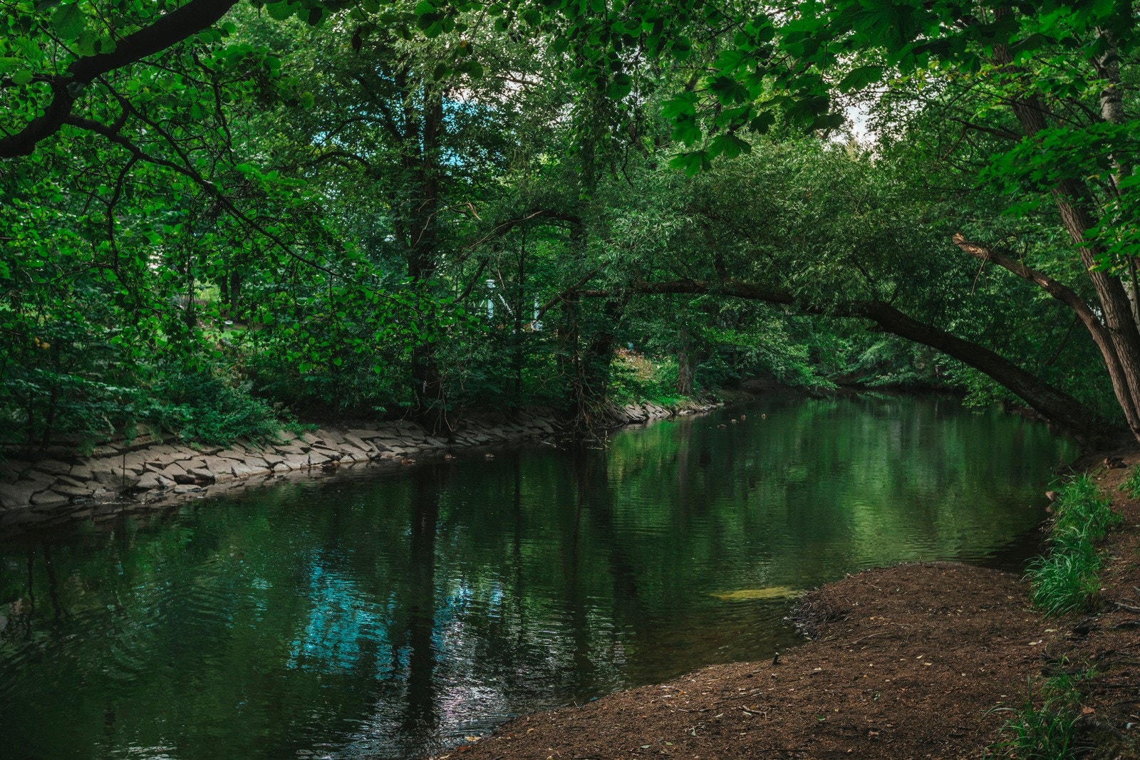 Idylliske Akerselva med flotte rekreasjonsmuligheter er like ved! Galleribilde
