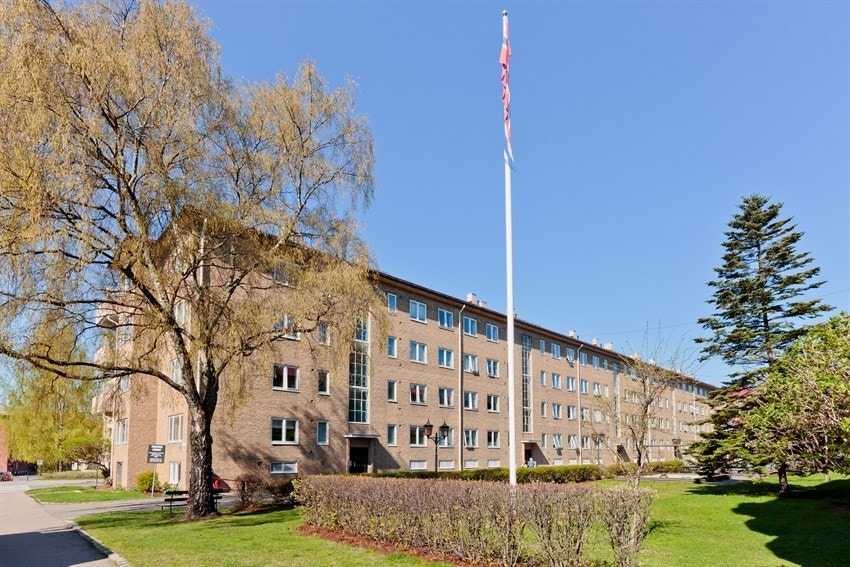 På sommerstid blir omgivelsene grønne og frodige, noe som gir området et hyggelig og innbydende preg. Galleribilde