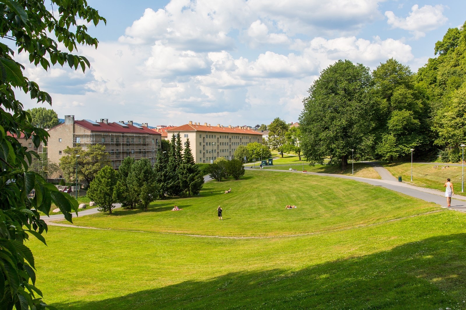Det er mange flotte grøntområder i umiddelbar nærhet. Tøyenparken er det perfekte sted på sommeren for grilling og sol og et yndet sted for barn og voksne. Fra toppen av parken er det utsikt over byen og bakker som brukes til ski og aking vinterstid. Galleribilde