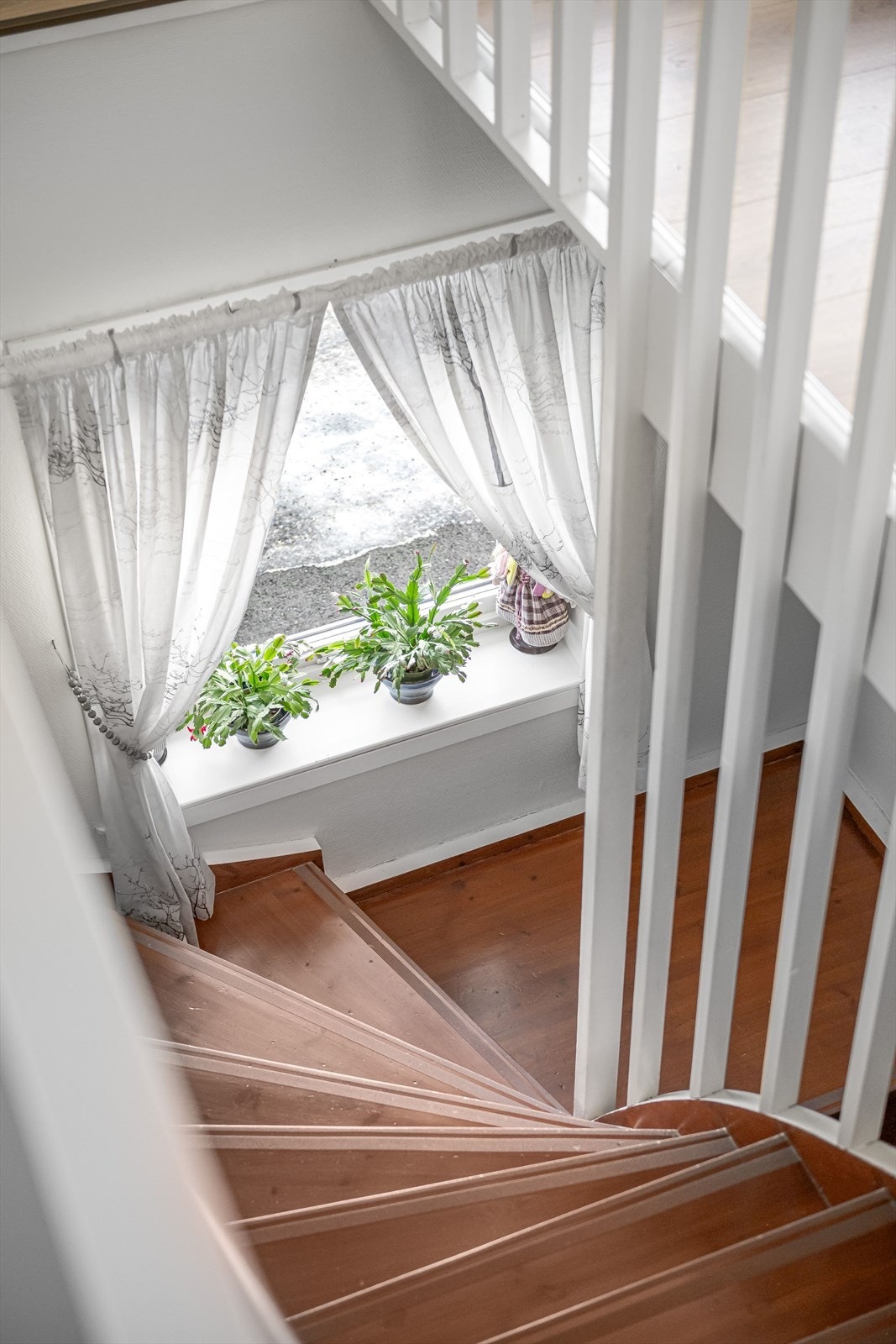 Vi tar turen ned igjen! Galleribilde