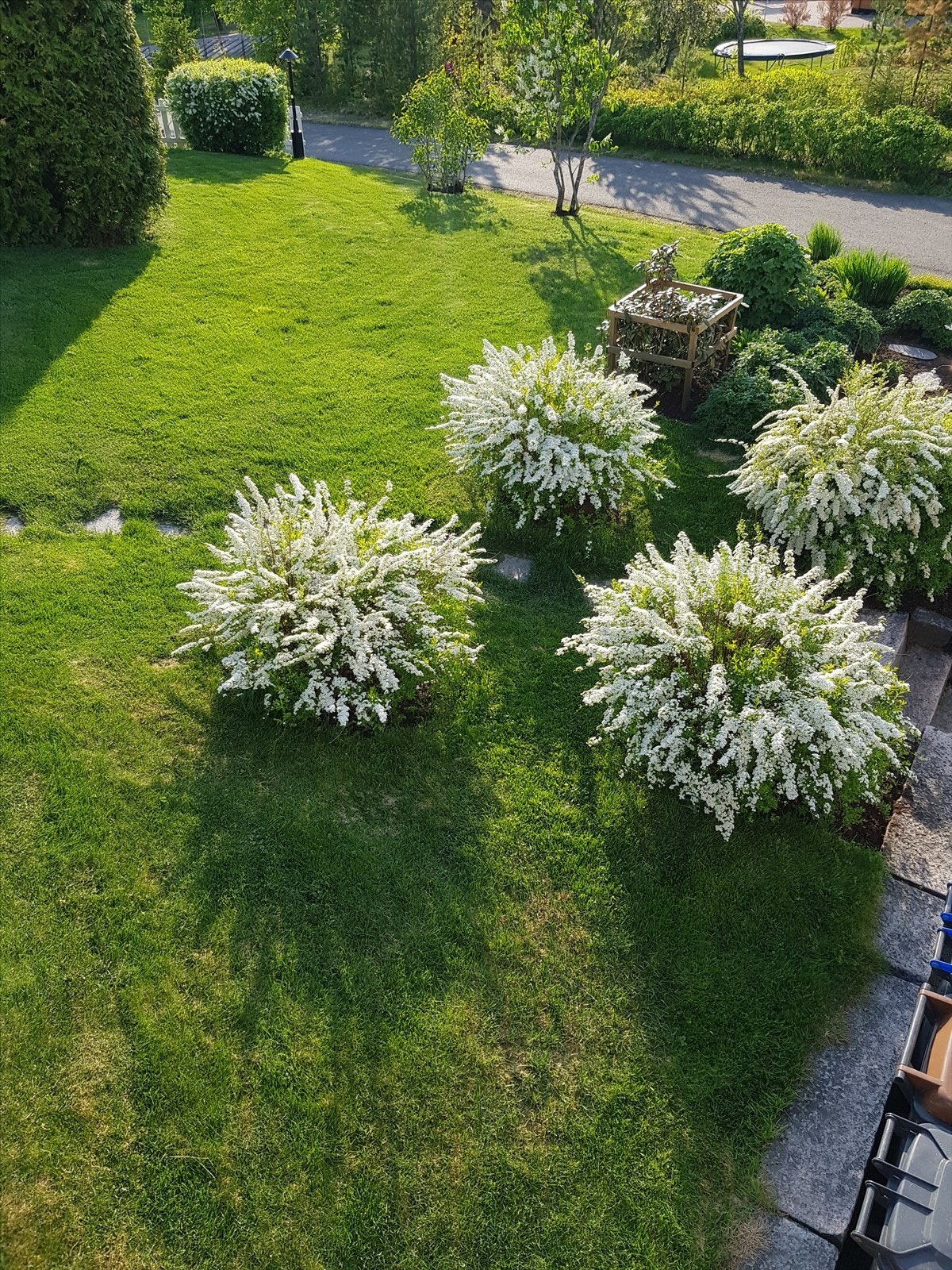 Selgers private bilde. Galleribilde