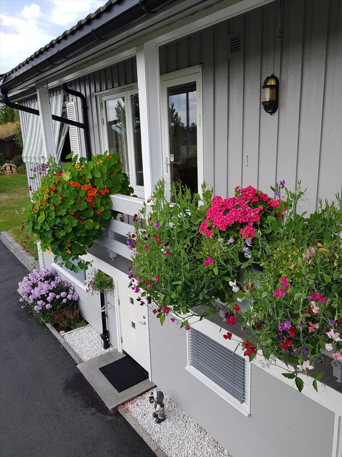 Selgers private bilde. Galleribilde