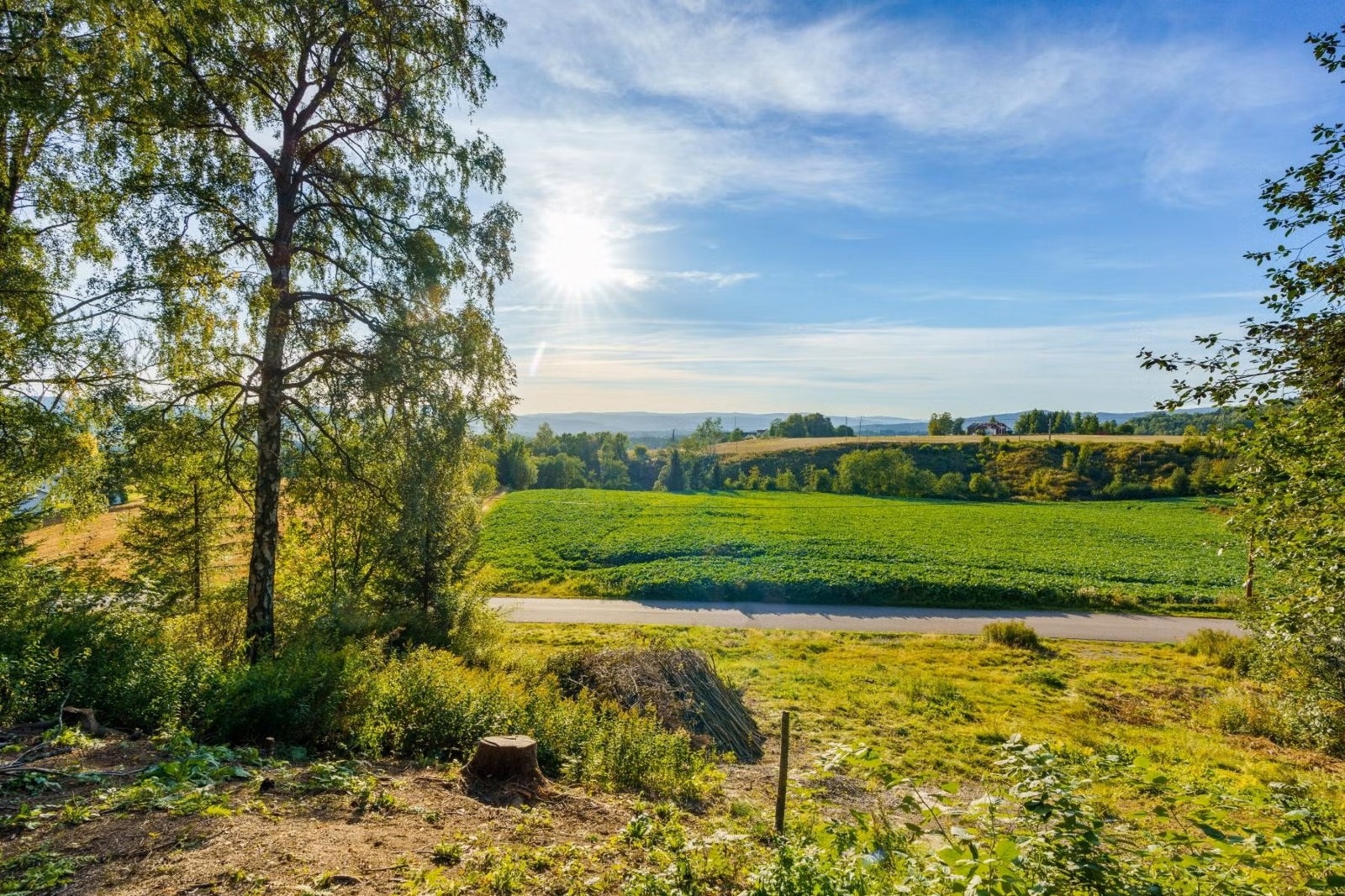 Utsikt Galleribilde