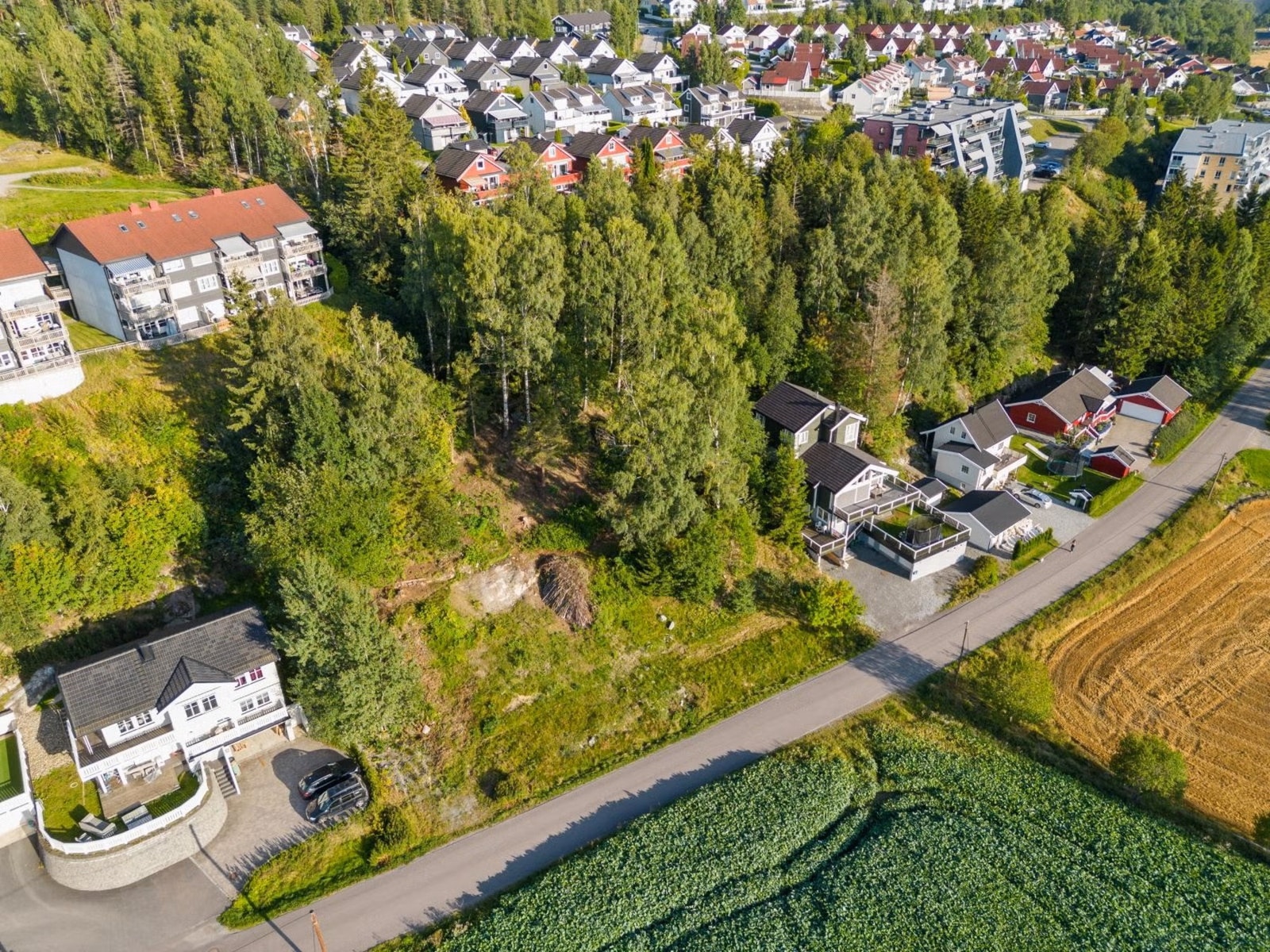 Oversiktsbilde Galleribilde