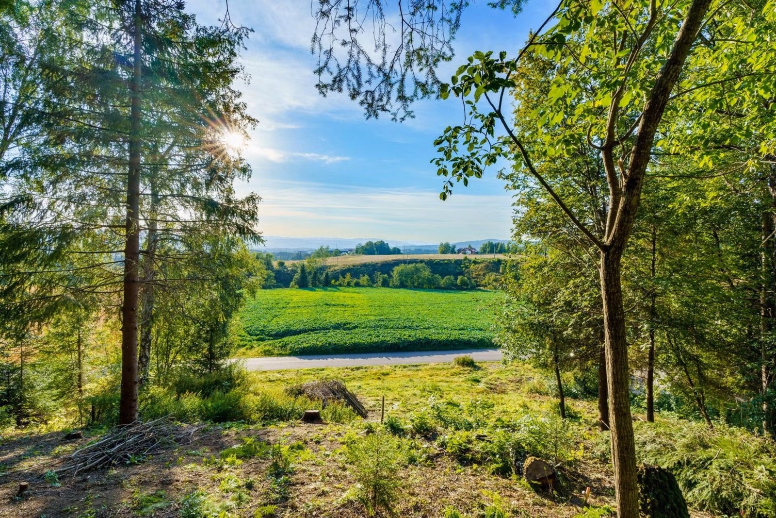 Det er utsikt mot landlig landskap fra tomten. Galleribilde