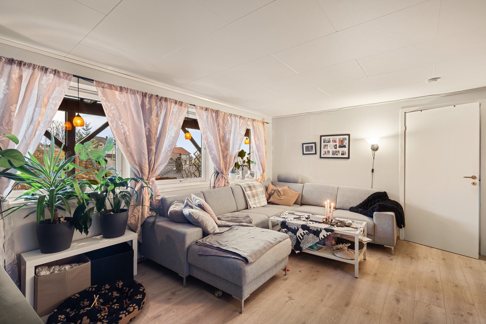 Rommet måler 36,3 kvm. Galleribilde