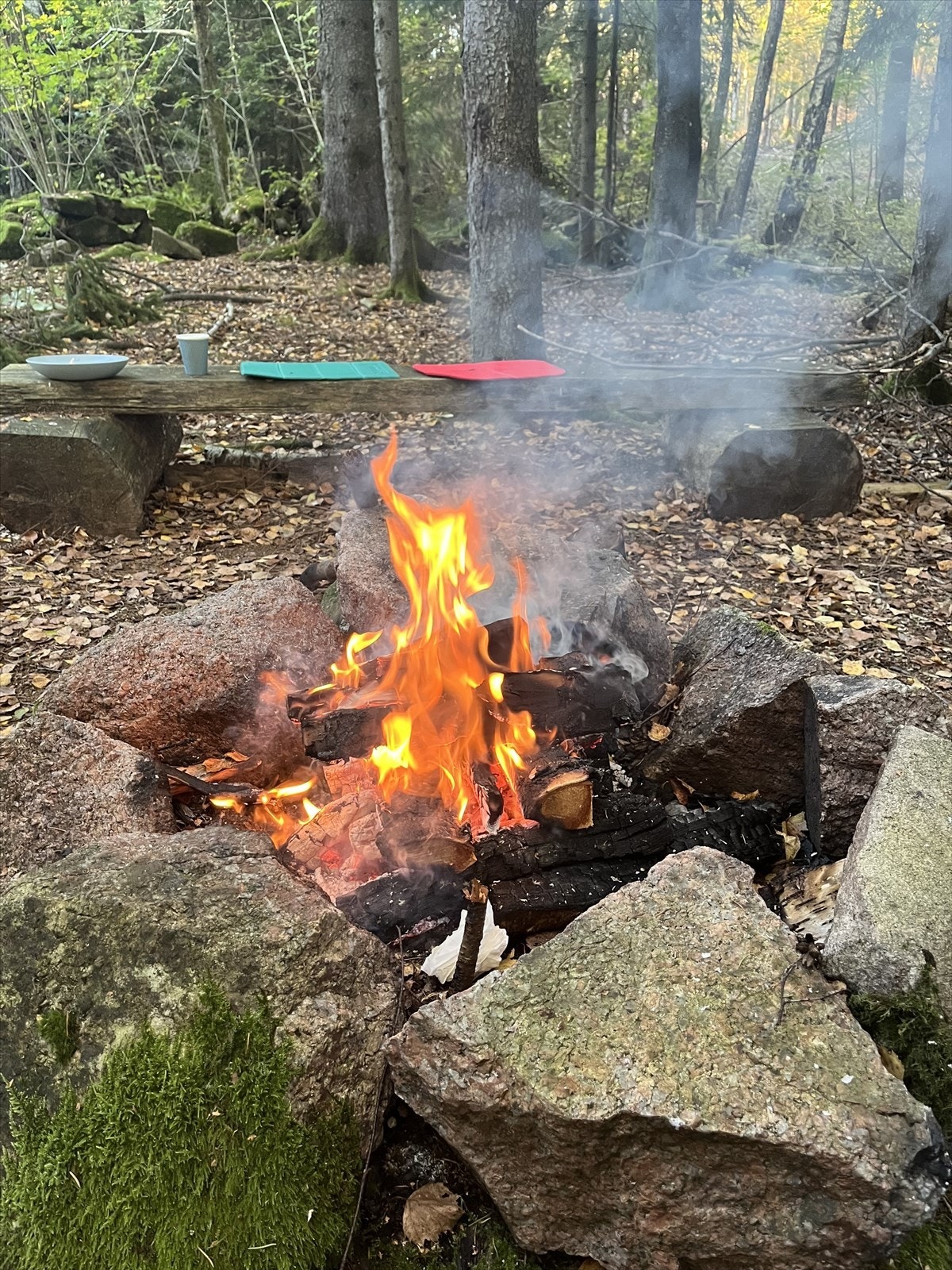 Det er kort vei til marka fra eiendommen hvor det er bålplass og fine turstier, året rundt. I vintersesong kjøres det skiløyper i lysløypa. Galleribilde