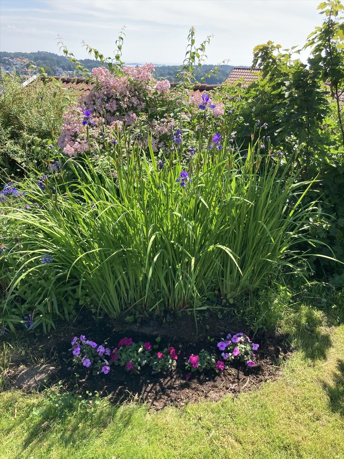 Sommerbilde Galleribilde