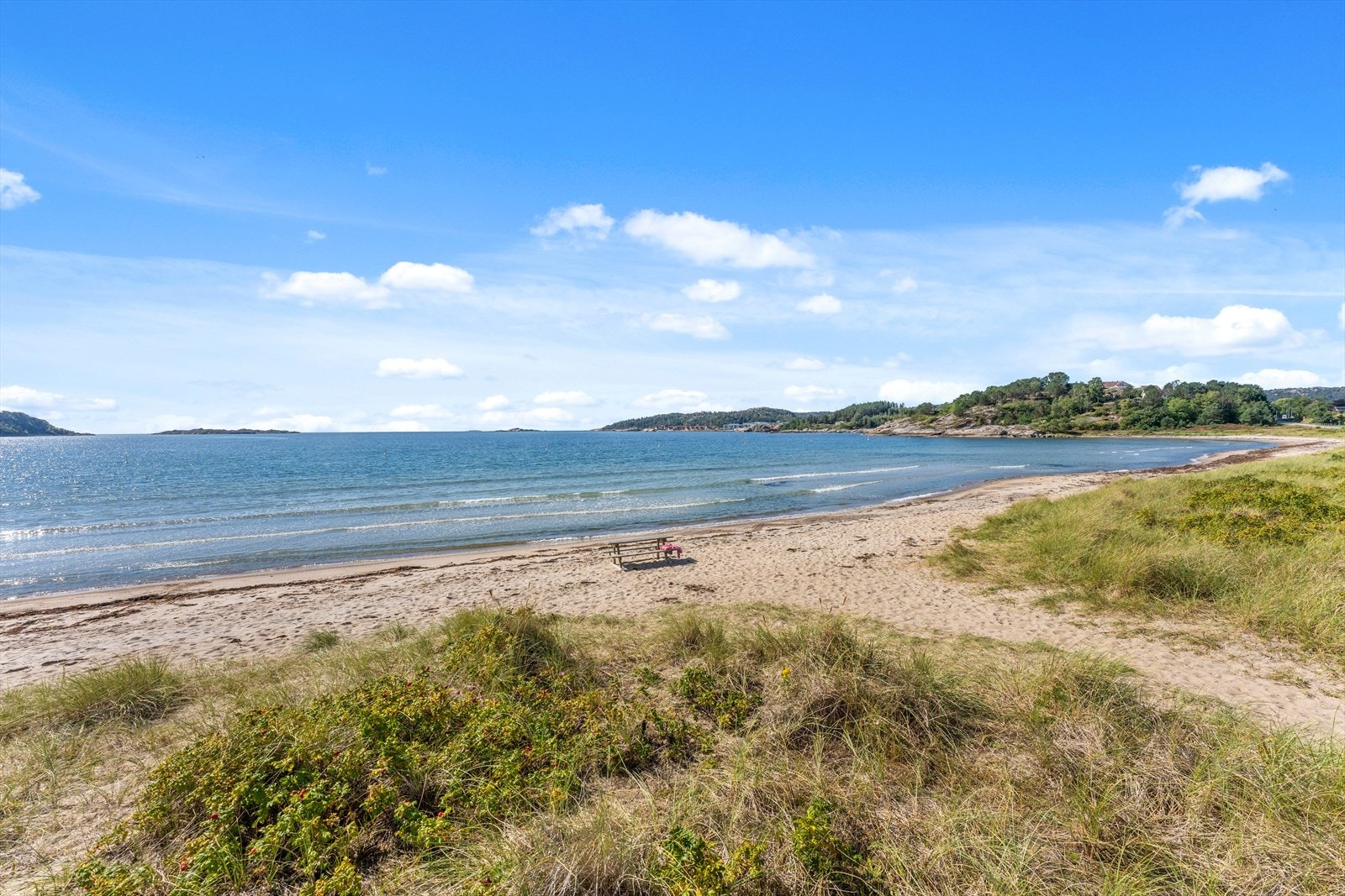 som ligger i kort avstand fra hytta Galleribilde