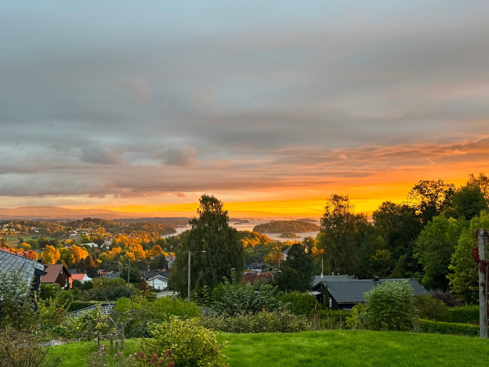 Noen av selgers egne bilder fra sommeren. Galleribilde