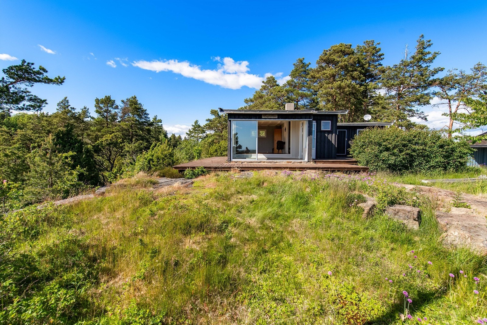 Naturtomt Galleribilde