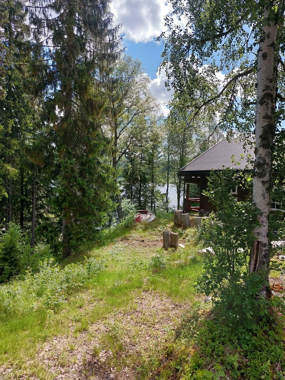 Privat bilde tatt av selger. Galleribilde