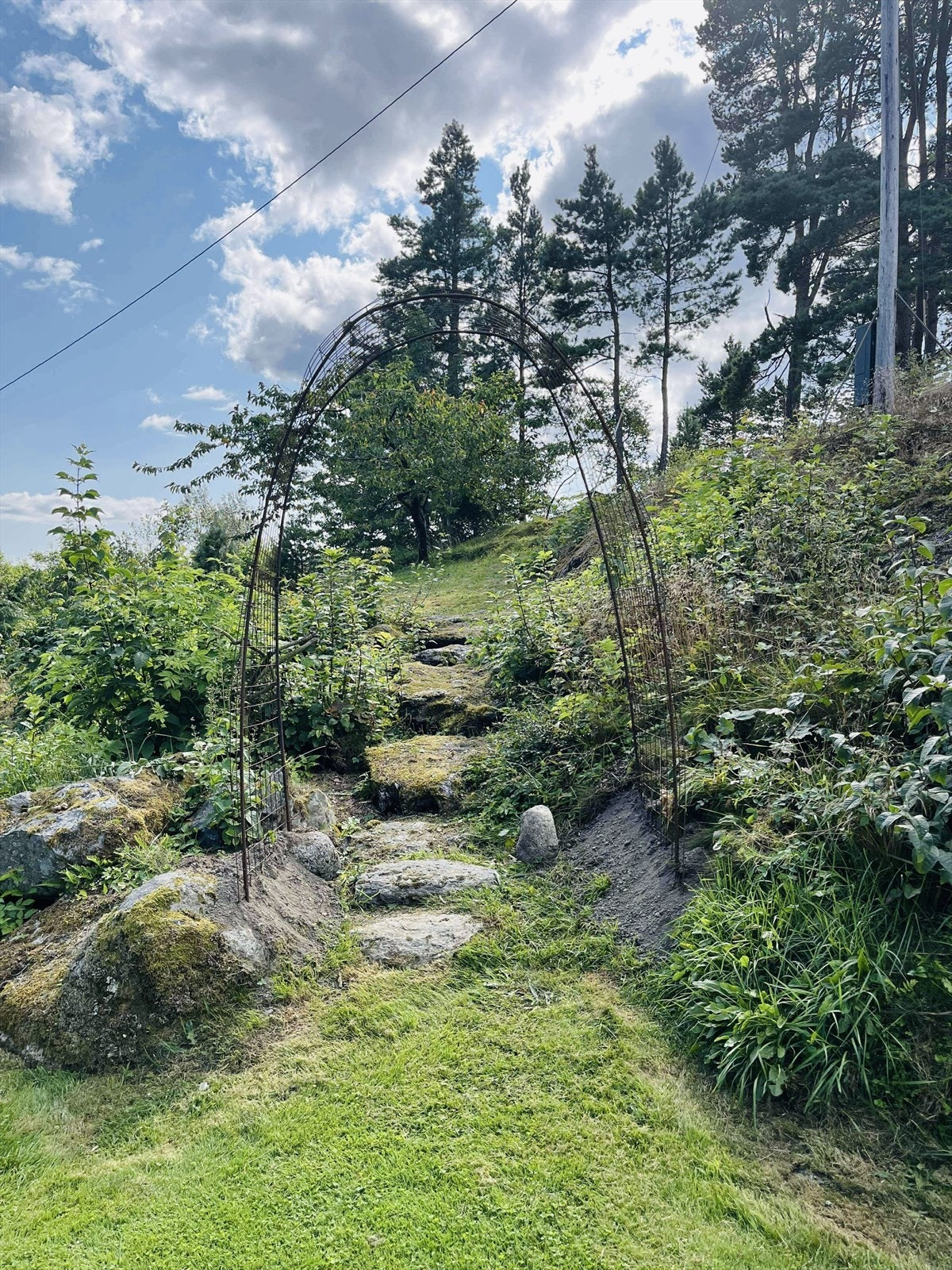 Veien ned til småbåthavna. Galleribilde