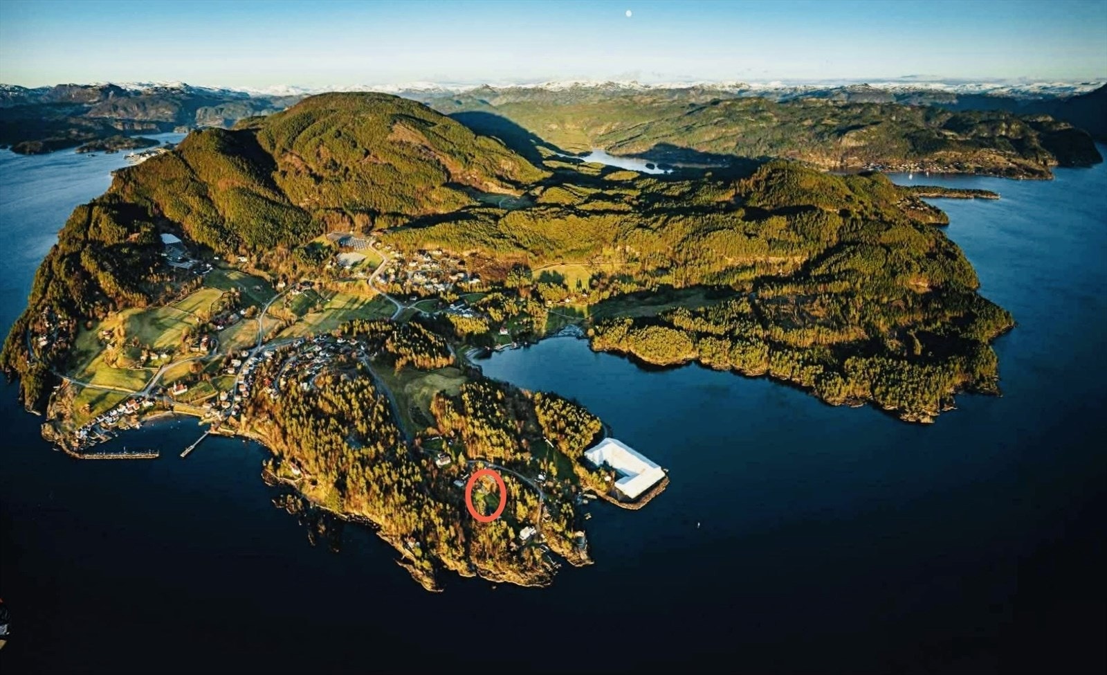 Dronebilde av nærområdet. Galleribilde