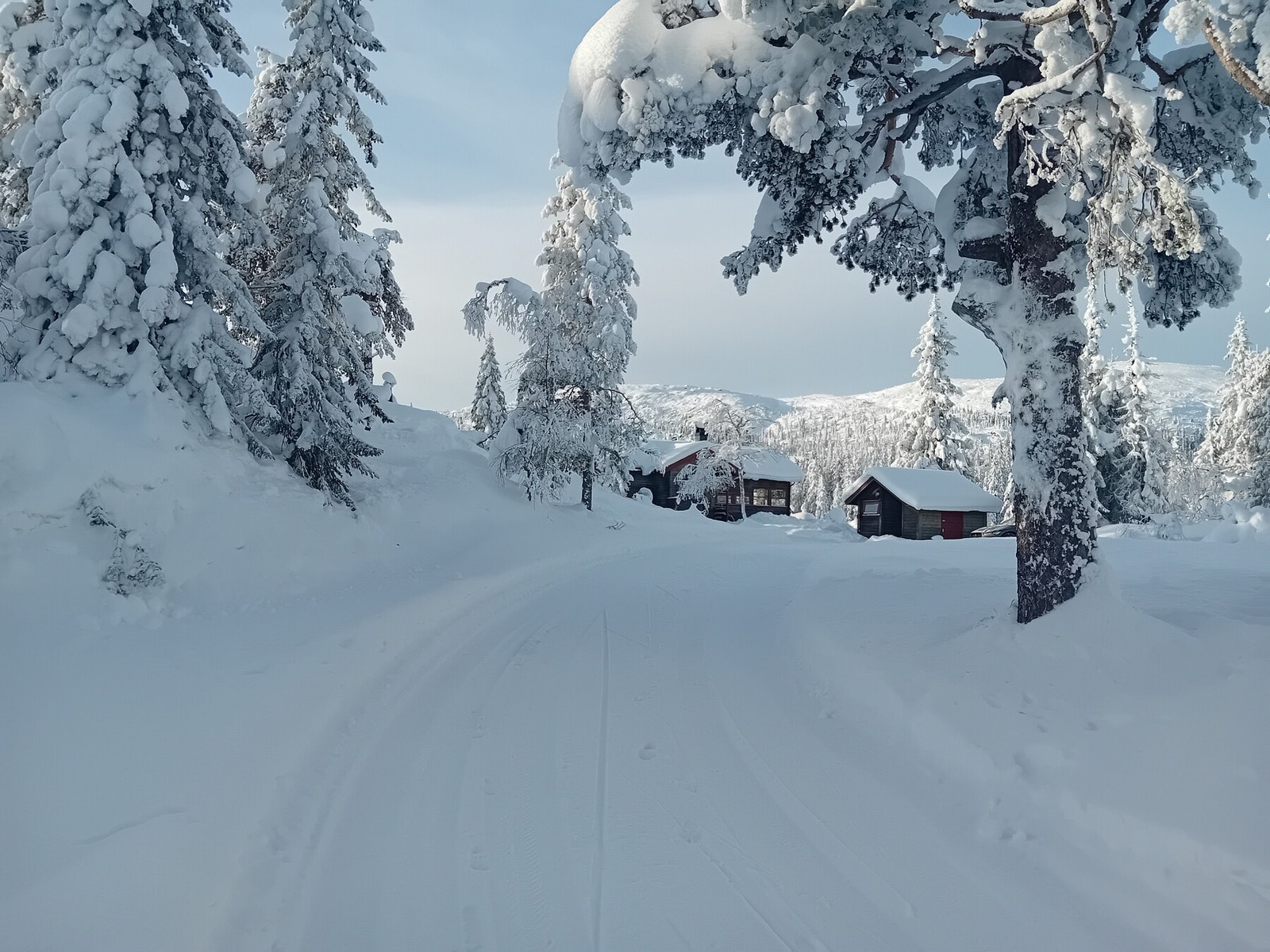 Vei helt frem til hytta Galleribilde