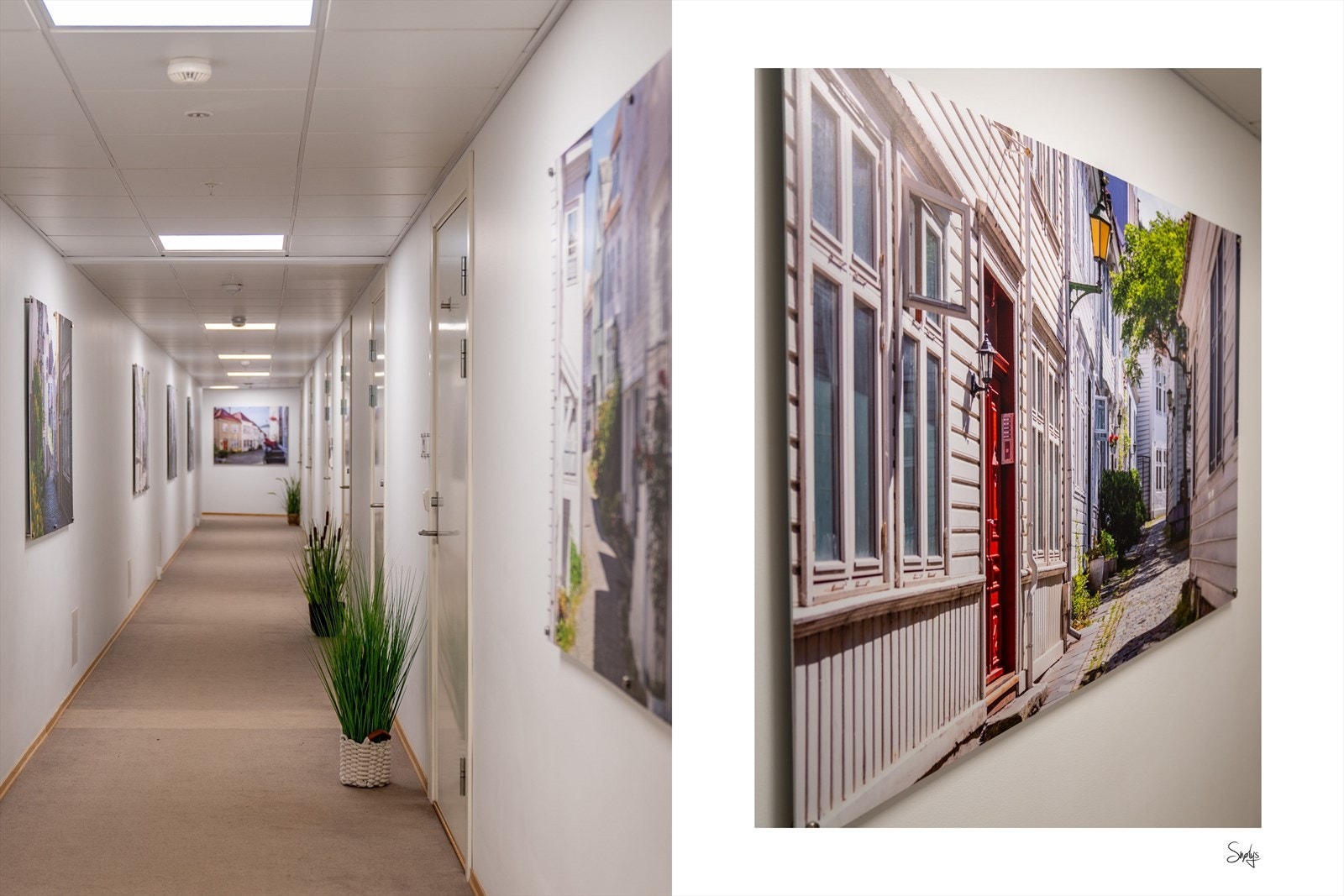 Fellesgang Galleribilde